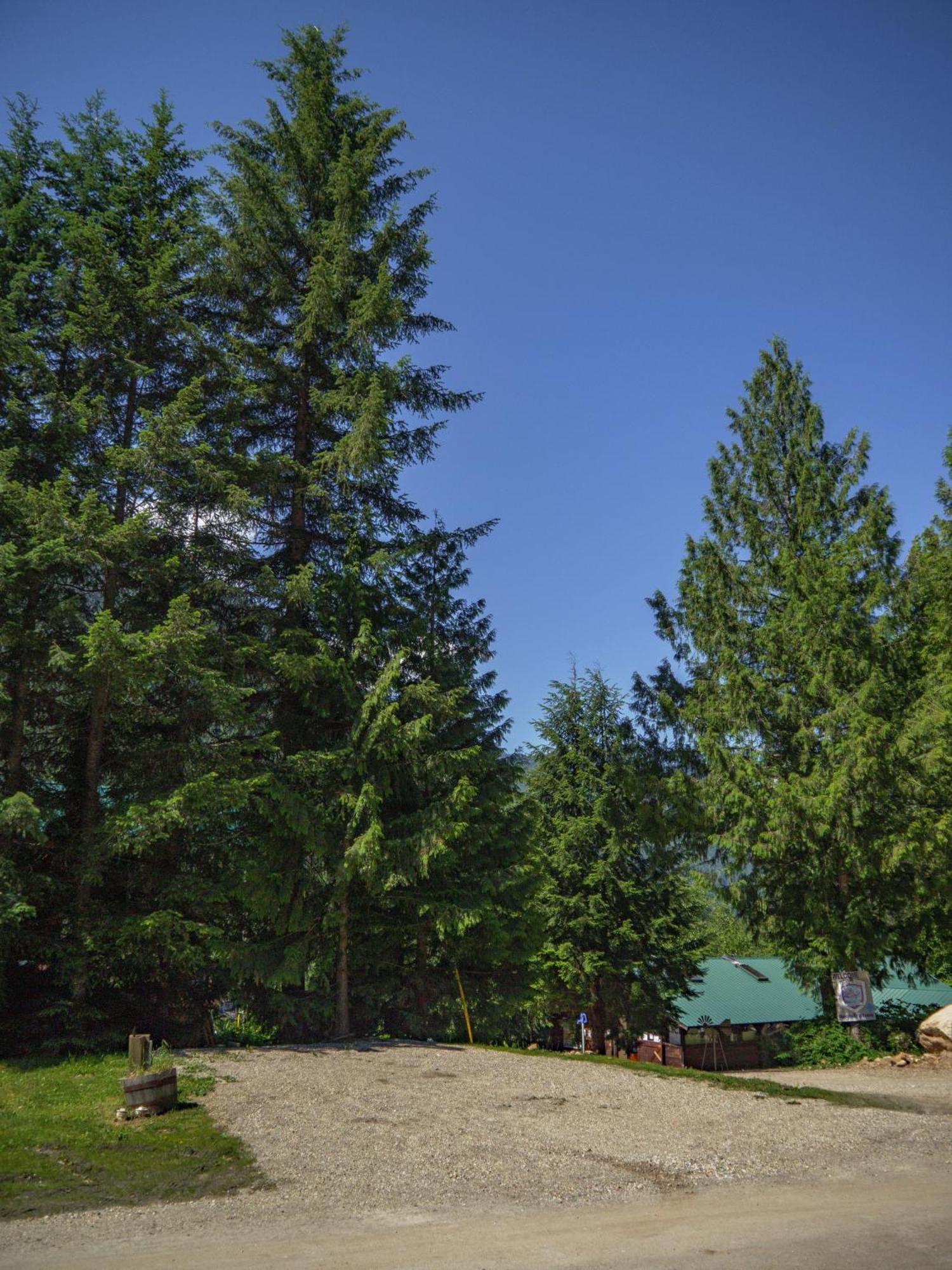 Noah's Ark Campground Revelstoke Bagian luar foto